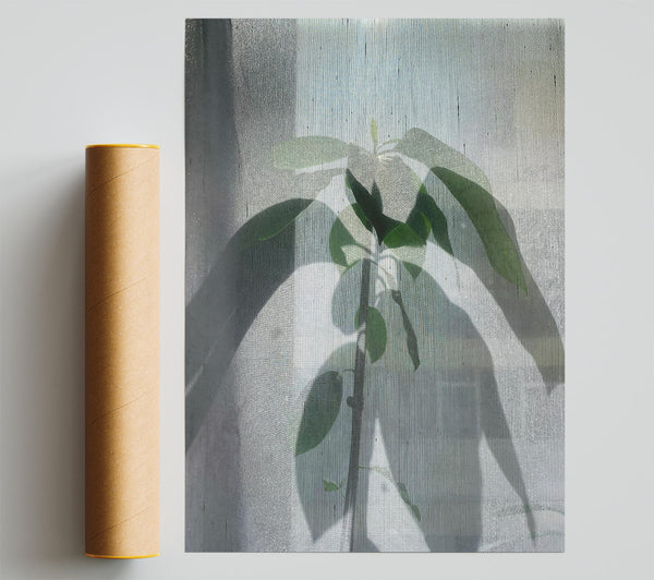 Pale Green Silhouette Giclee Print
