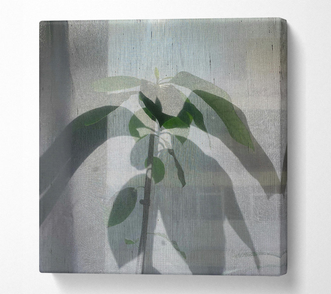  A Canvas Print of Pale Green Silhouette Canvas Wall Art