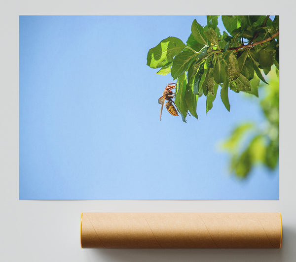 Blue Sky Hornet Poster