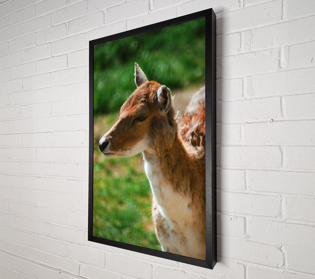  A Canvas Print of Golden Fawn Portrait Canvas Print
