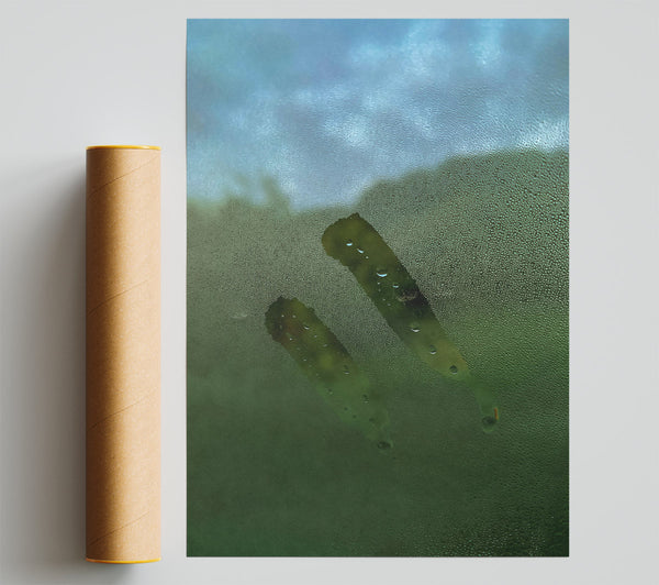Green Window Wisps Giclee Print