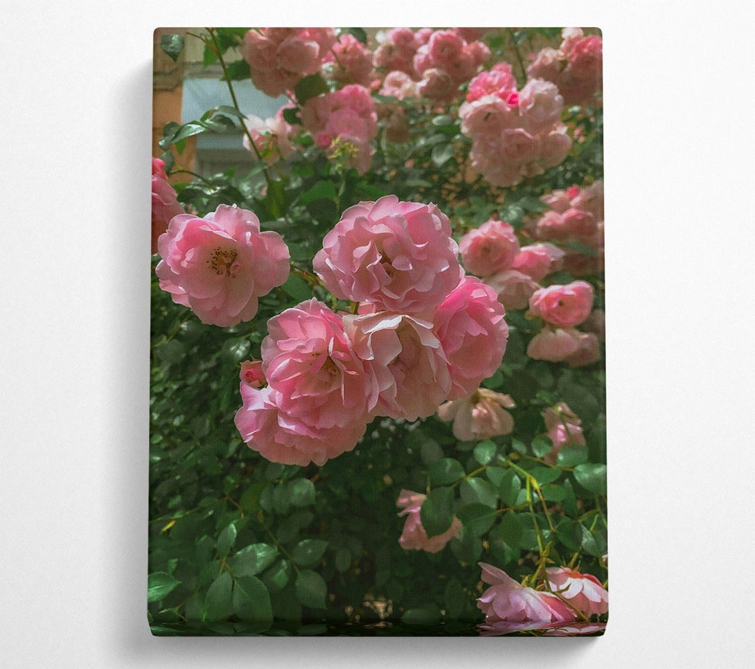  A Canvas Print of Blush Rose Bouquet Canvas Wall Art