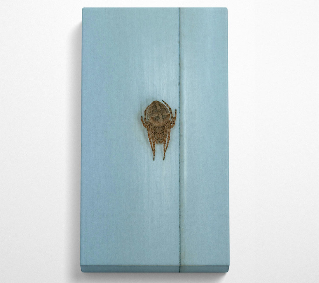  A Canvas Print of Pale Blue Spider Canvas Art