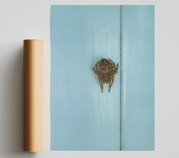 Pale Blue Spider Poster