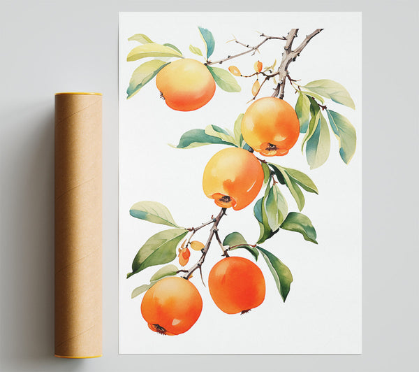 Persimmon Tree Watercolour Print