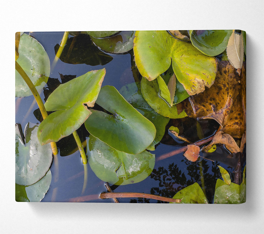  A Canvas Print of Loading... Canvas Print