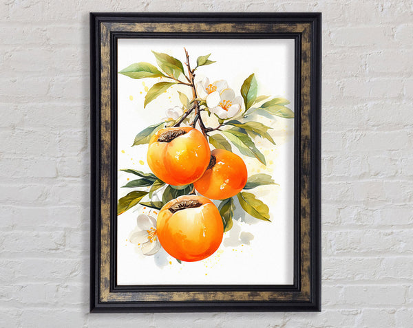 Persimmon Watercolour Framed Print