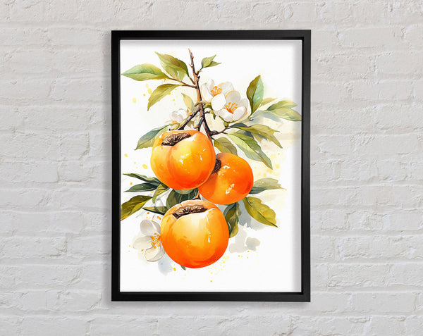 Persimmon Watercolour Framed Print
