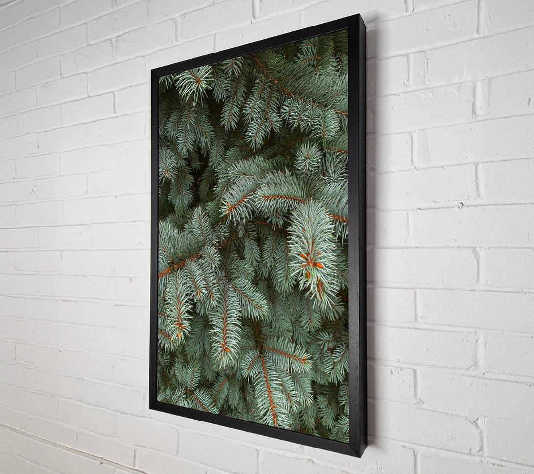  A Canvas Print of Silver Pine Needles Canvas Wall Art