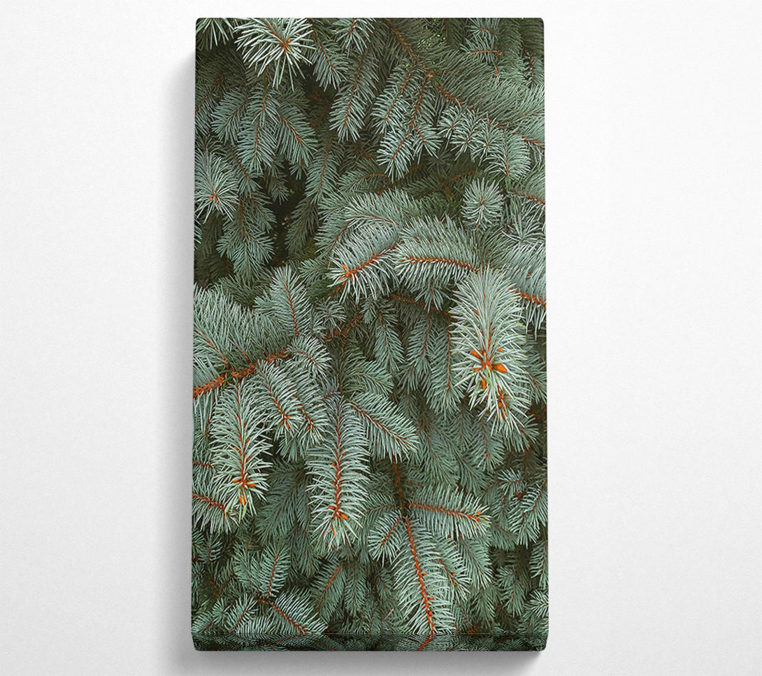  A Canvas Print of Silver Pine Needles Canvas Wall Art