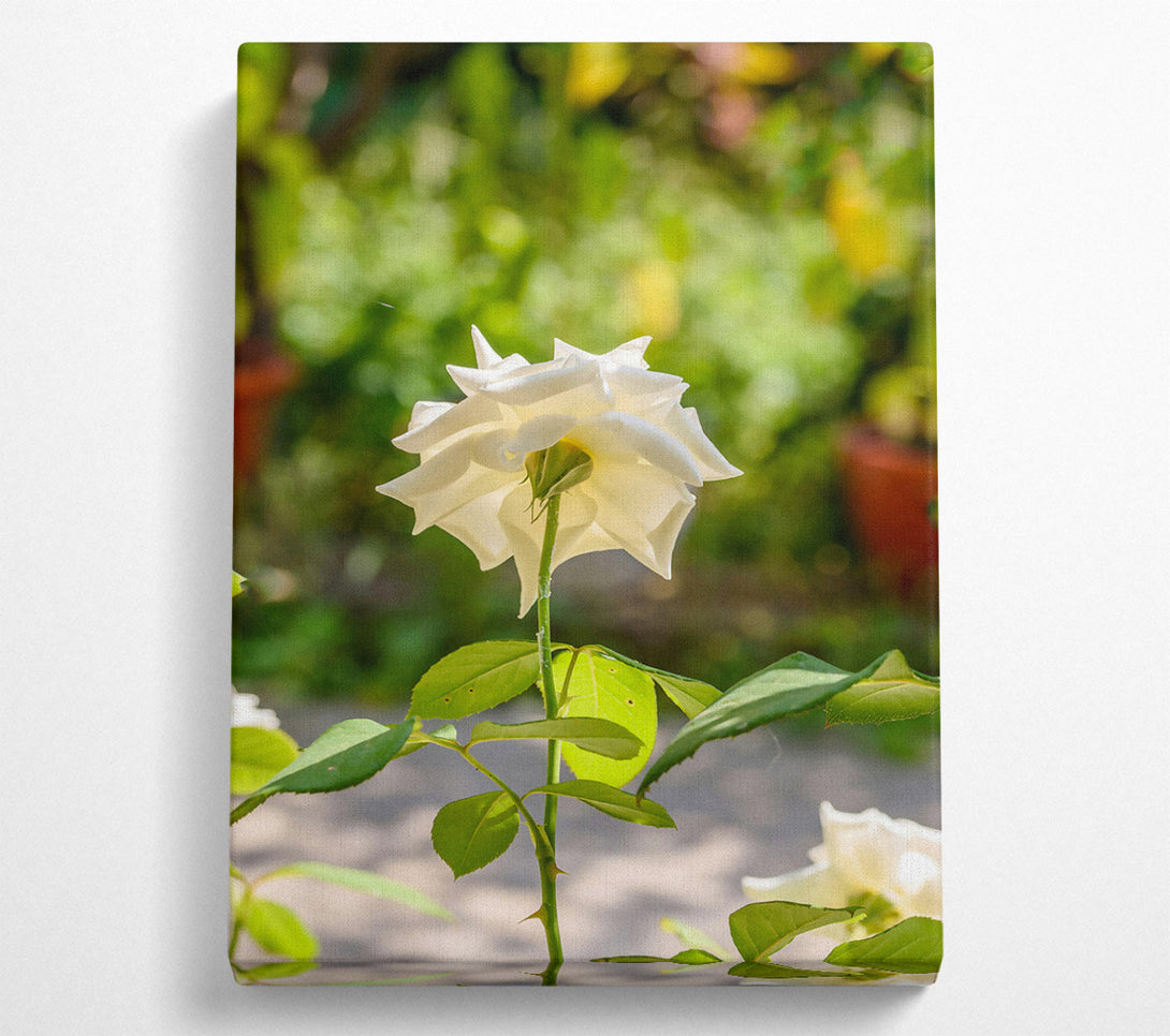  A Canvas Print of Loading... Canvas Print