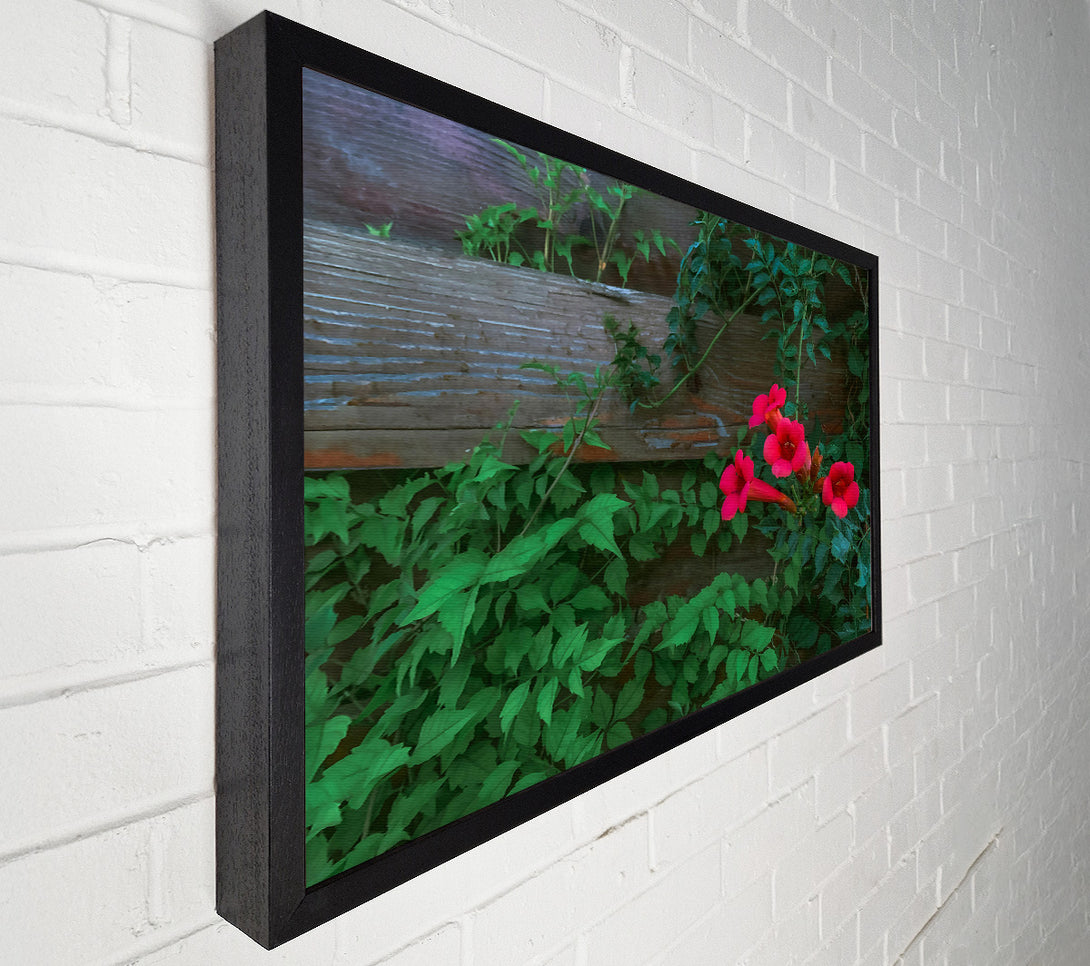  A Canvas Print of Crimson Vines And Wood Canvas Art