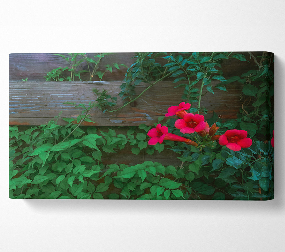  A Canvas Print of Crimson Vines And Wood Canvas Art