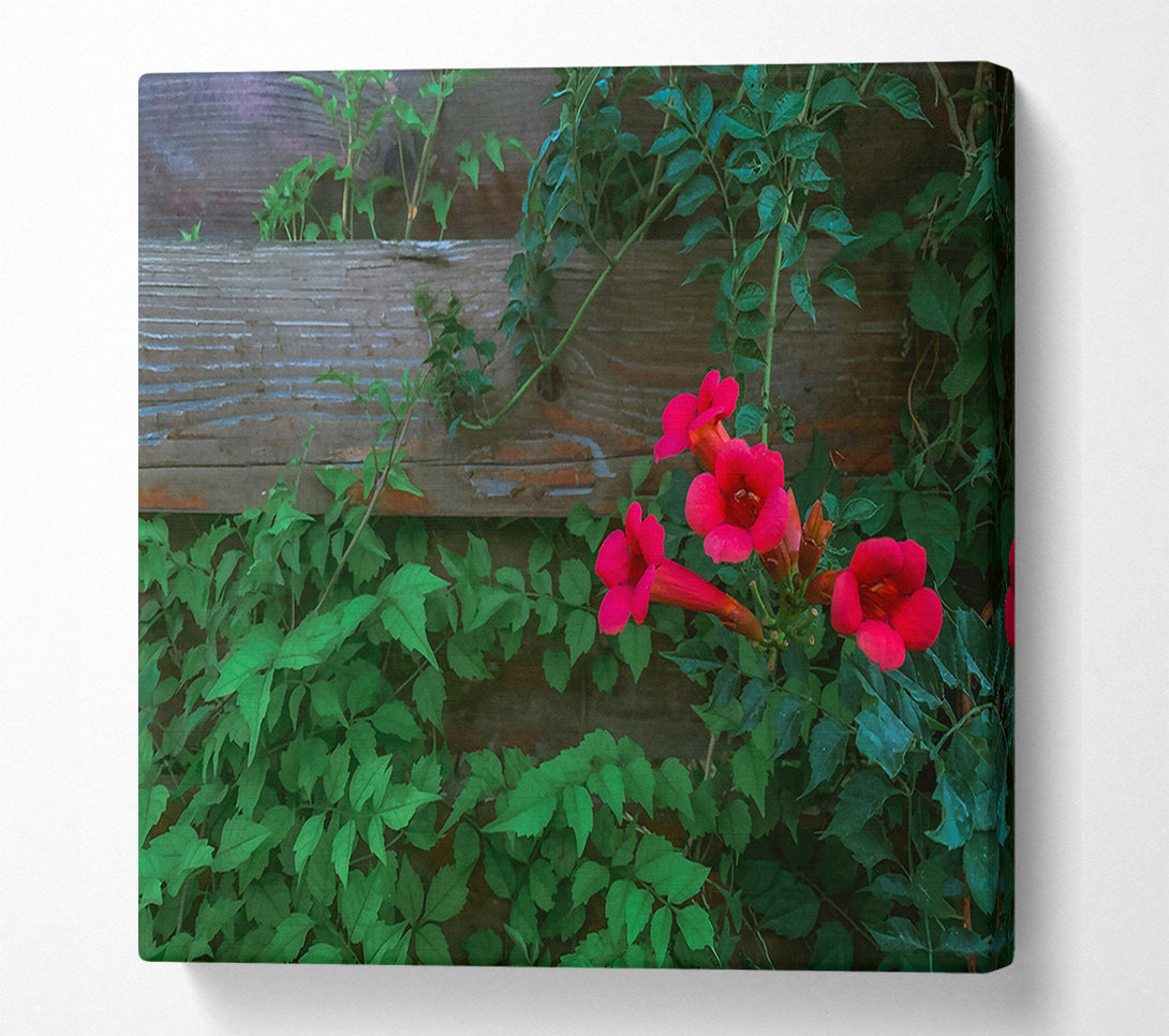  A Canvas Print of Crimson Vines And Wood Canvas Art