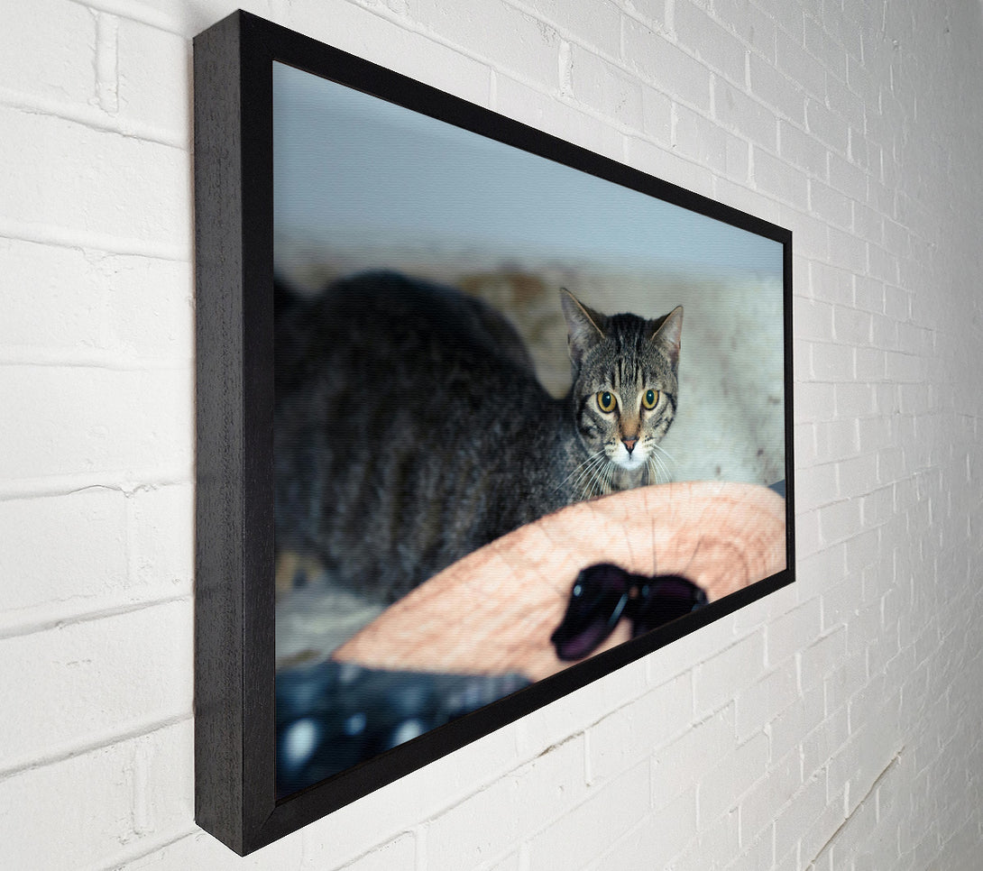  A Canvas Print of Golden Eyes On Wood Canvas Art