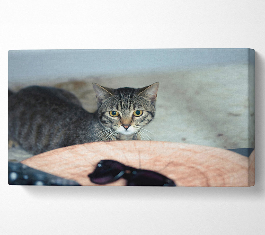  A Canvas Print of Golden Eyes On Wood Canvas Art