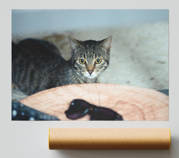 Golden Eyes On Wood Giclee Print