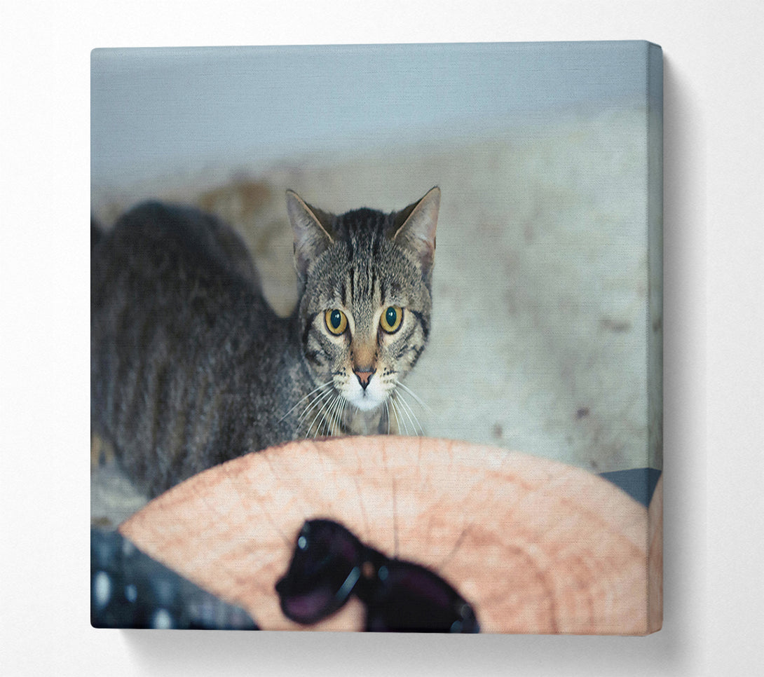  A Canvas Print of Golden Eyes On Wood Canvas Art