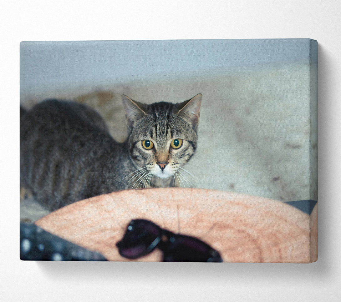  A Canvas Print of Golden Eyes On Wood Canvas Art