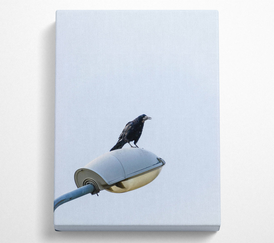  A Canvas Print of Black Crow On White Light Canvas Print