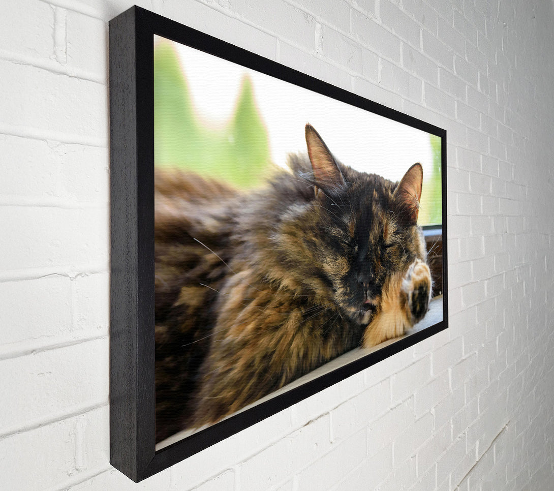  A Canvas Print of Golden Afternoon Slumber Canvas Art