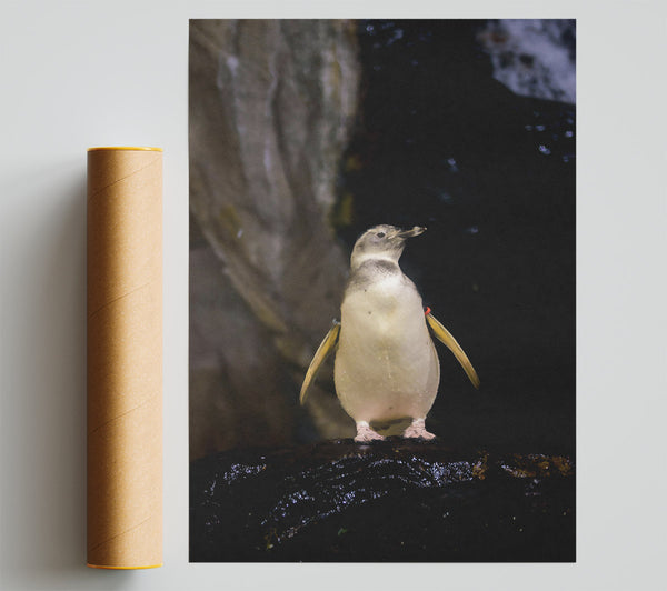 Pale Yellow Penguin Print