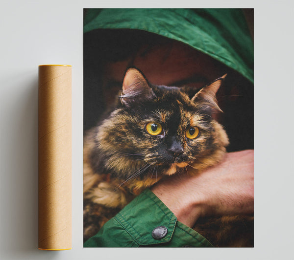 Green Cat'S Gaze Poster