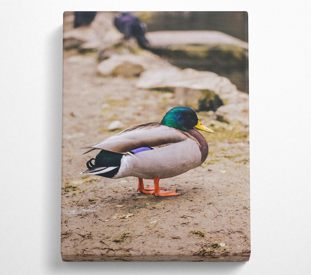  A Canvas Print of Loading... Canvas Print