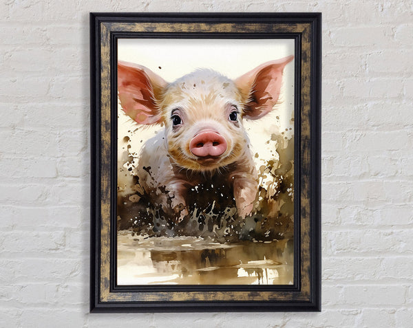 Pig In The Mud Framed Print