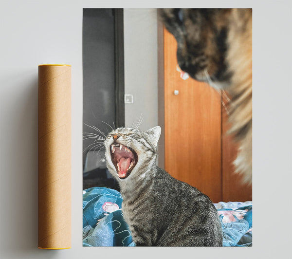 Gray Cat Yawning Giclee Print