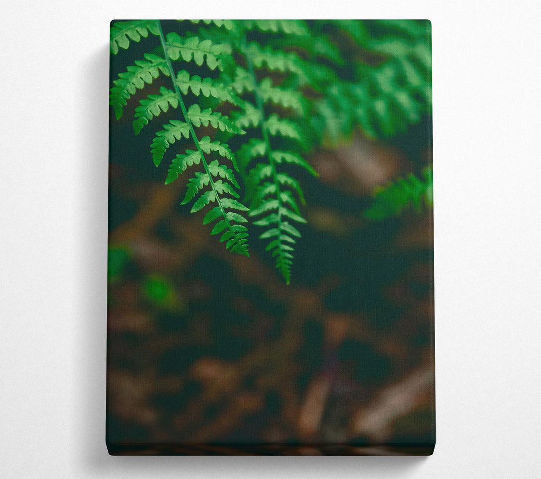  A Canvas Print of Emerald Fern Fronds Canvas Art