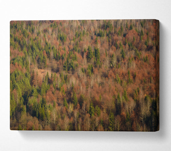  A Canvas Print of Rustling Autumn Woods Canvas Art