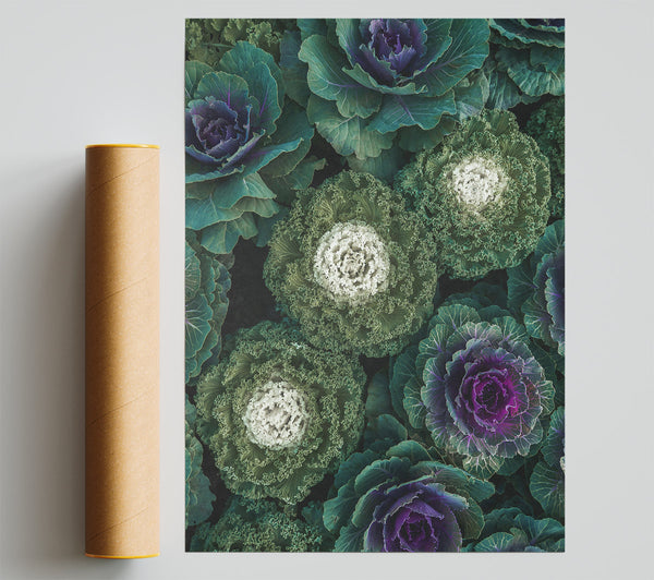 Purple And Green Bloom