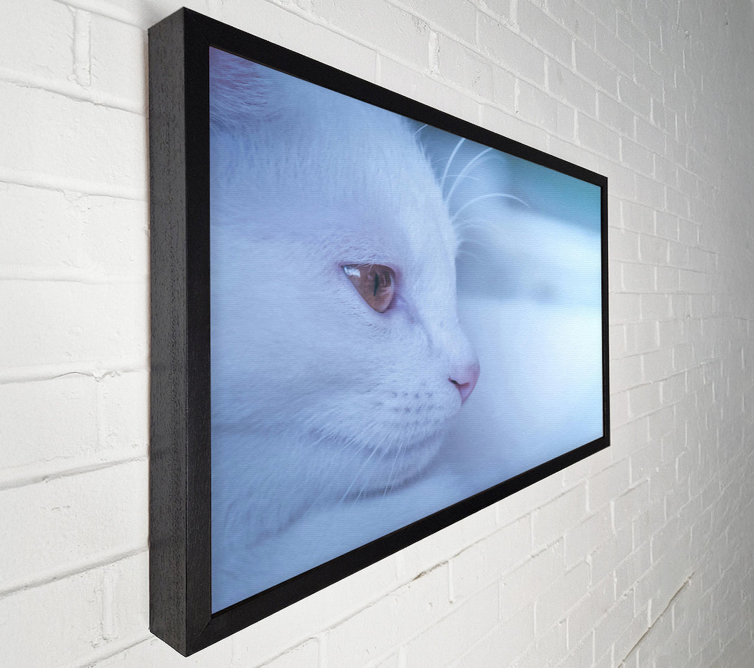  A Canvas Print of Pale Blue Gaze Canvas Art