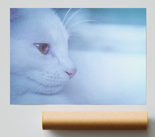 Pale Blue Gaze Giclee Print
