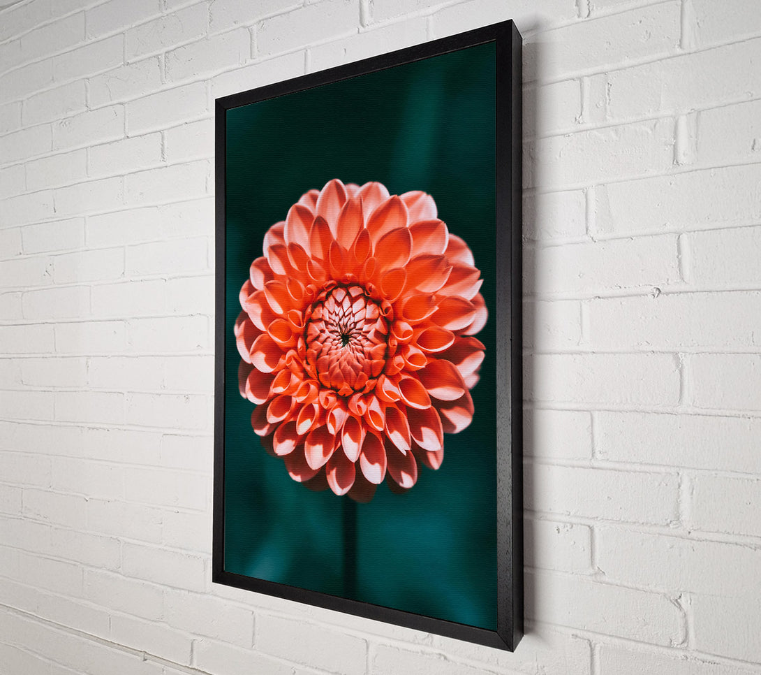  A Canvas Print of Coral Bloom Symphony Canvas Wall Art