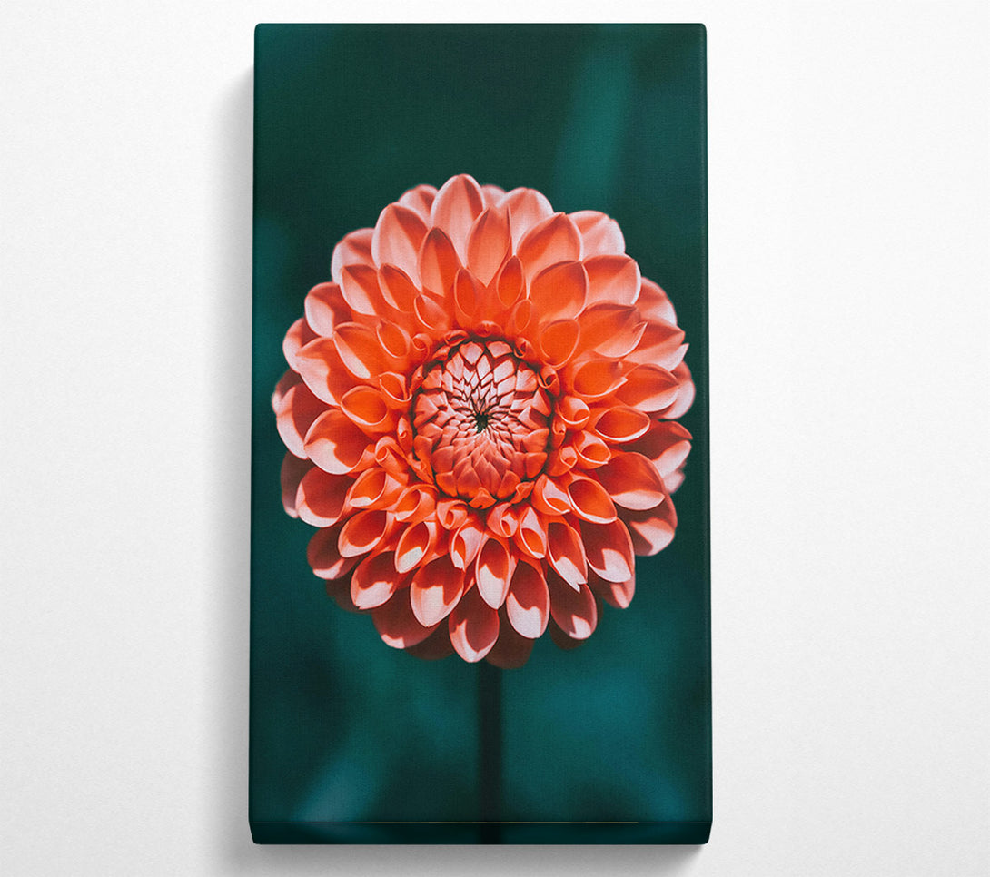  A Canvas Print of Coral Bloom Symphony Canvas Wall Art