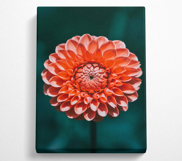  A Canvas Print of Coral Bloom Symphony Canvas Wall Art