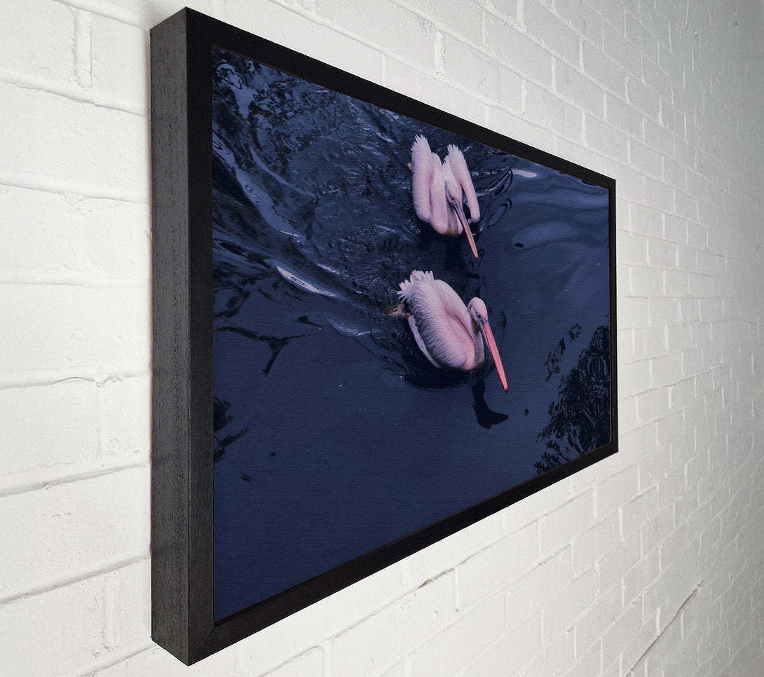  A Canvas Print of Indigo Pelicans Canvas Art