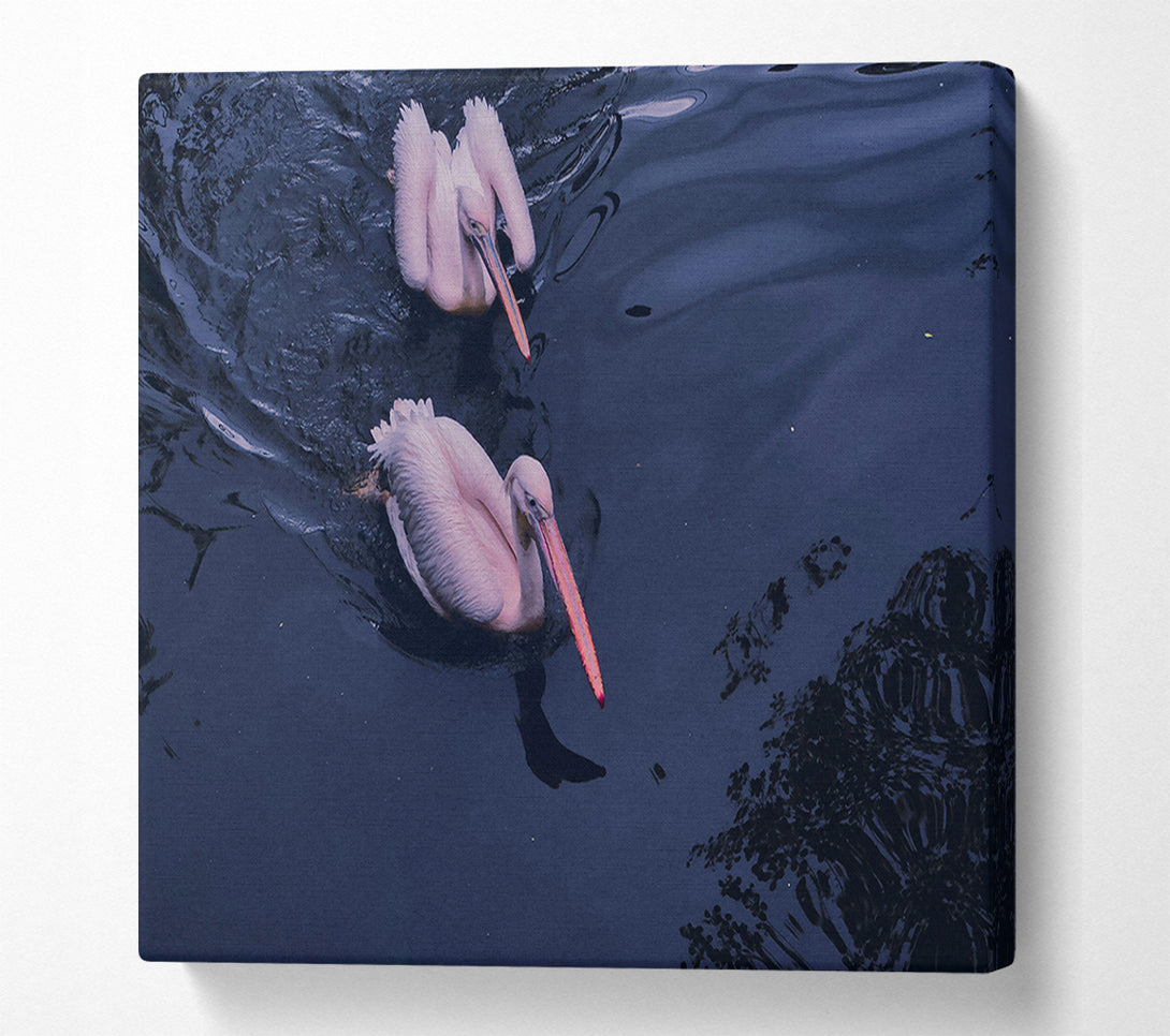  A Canvas Print of Indigo Pelicans Canvas Art