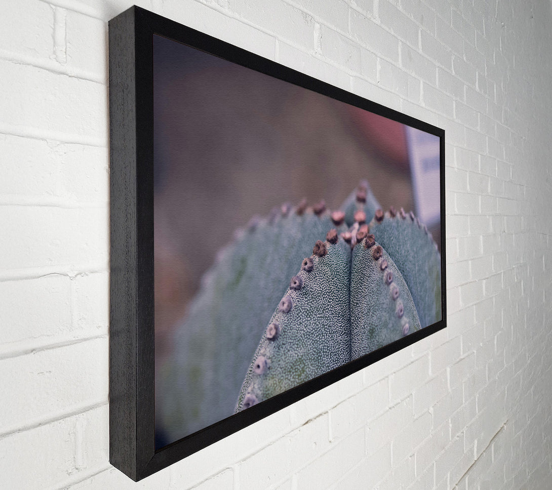  A Canvas Print of Green Cactus Texture Canvas Print