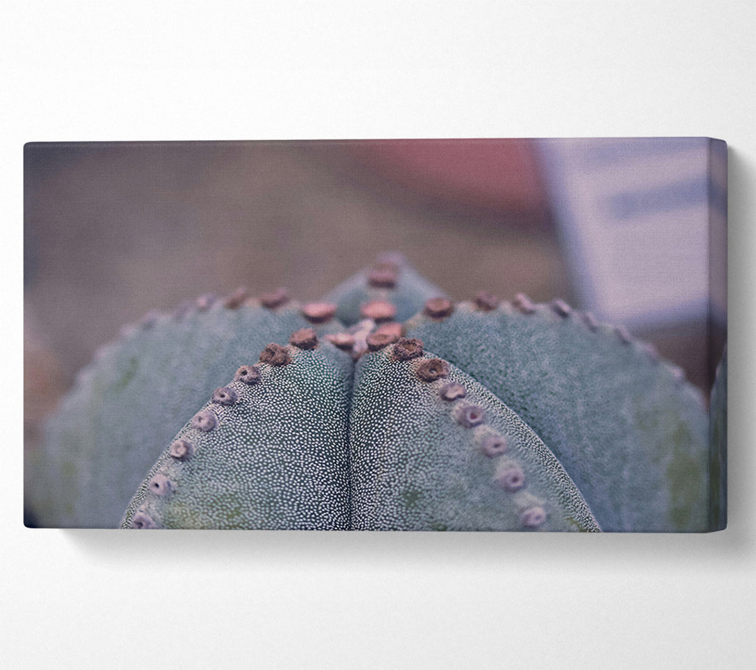  A Canvas Print of Green Cactus Texture Canvas Print