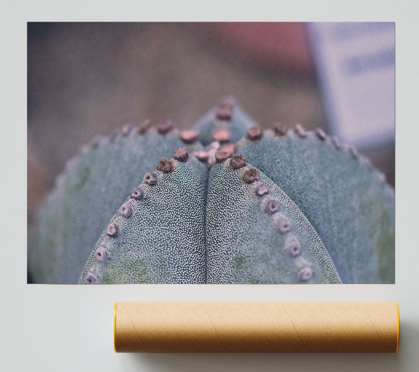 Green Cactus Texture Giclee Print