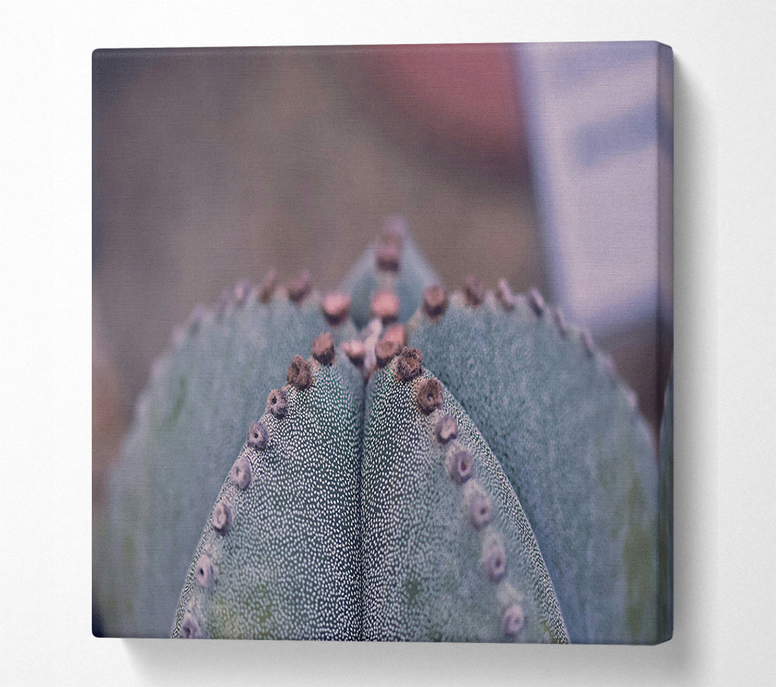  A Canvas Print of Green Cactus Texture Canvas Print