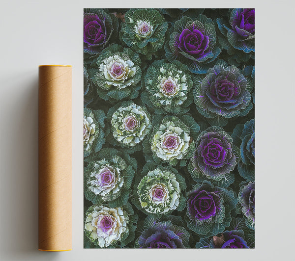 Purple Kaleidoscope Garden Poster