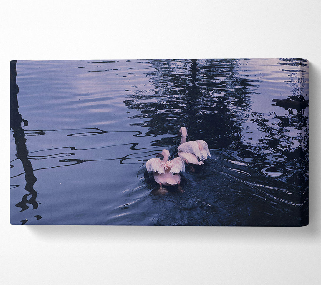  A Canvas Print of Indigo Water Birds Canvas Print
