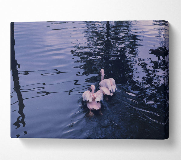 A Canvas Print of Indigo Water Birds Canvas Print