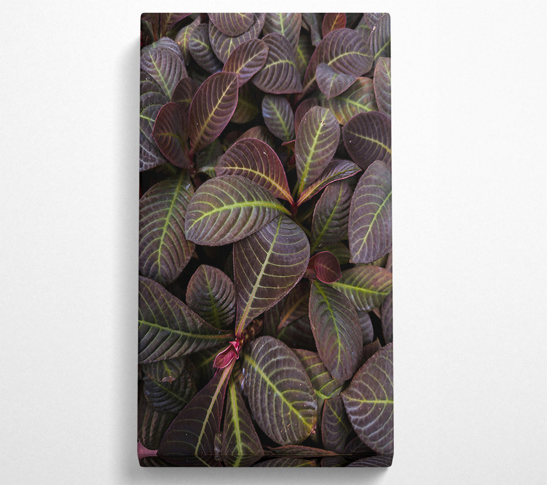 A Canvas Print of Burgundy Leaf Patterns Canvas Wall Art
