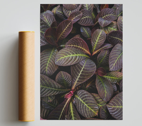 Burgundy Leaf Patterns Print