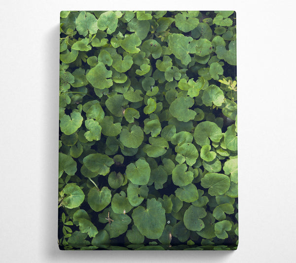  A Canvas Print of Emerald Green Carpet Canvas Print